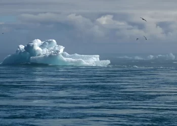 COP28